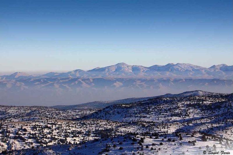 the distant mountains.jpg